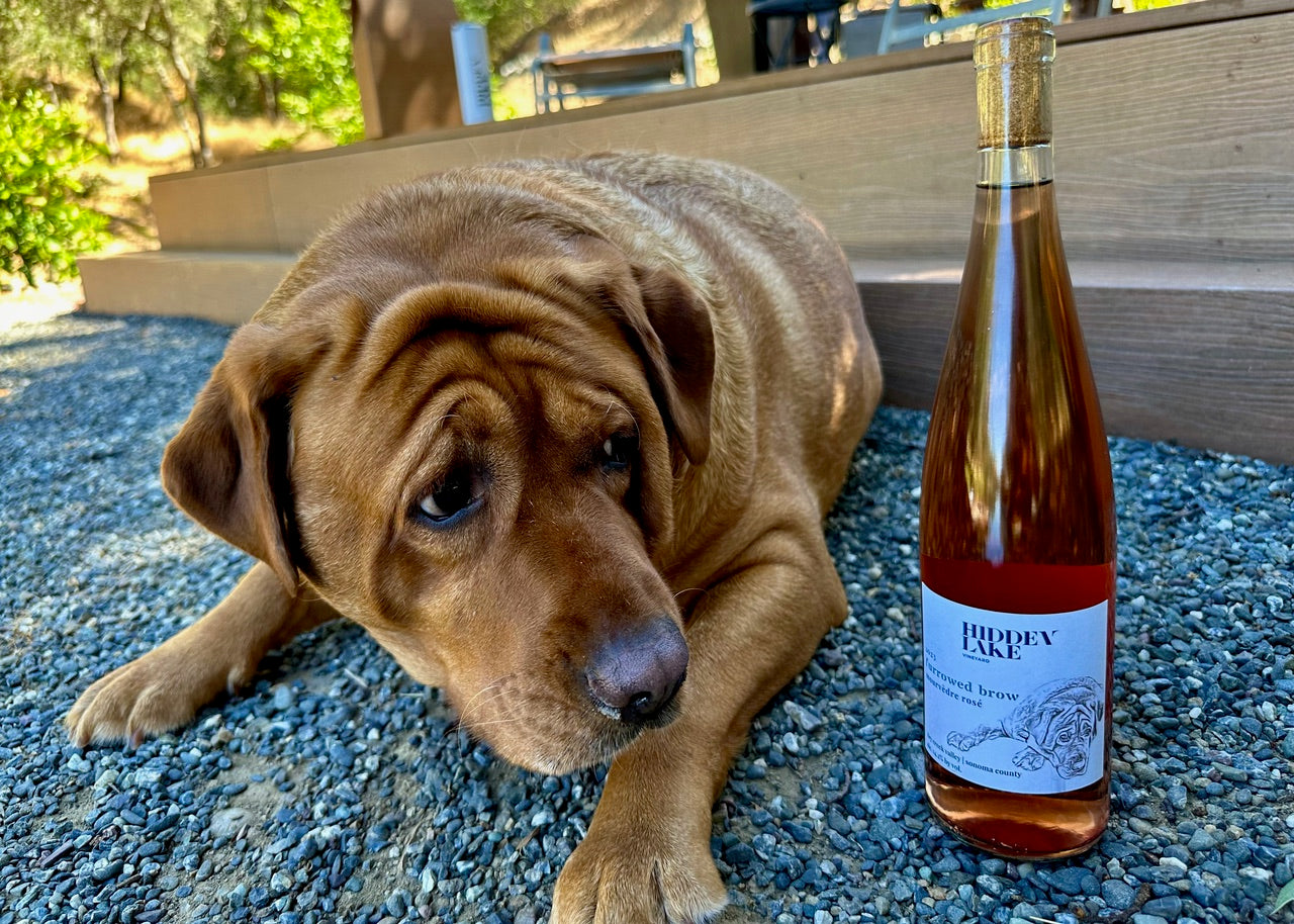 HLV "Furrowed Brow" Mourvedre Rose - 2023