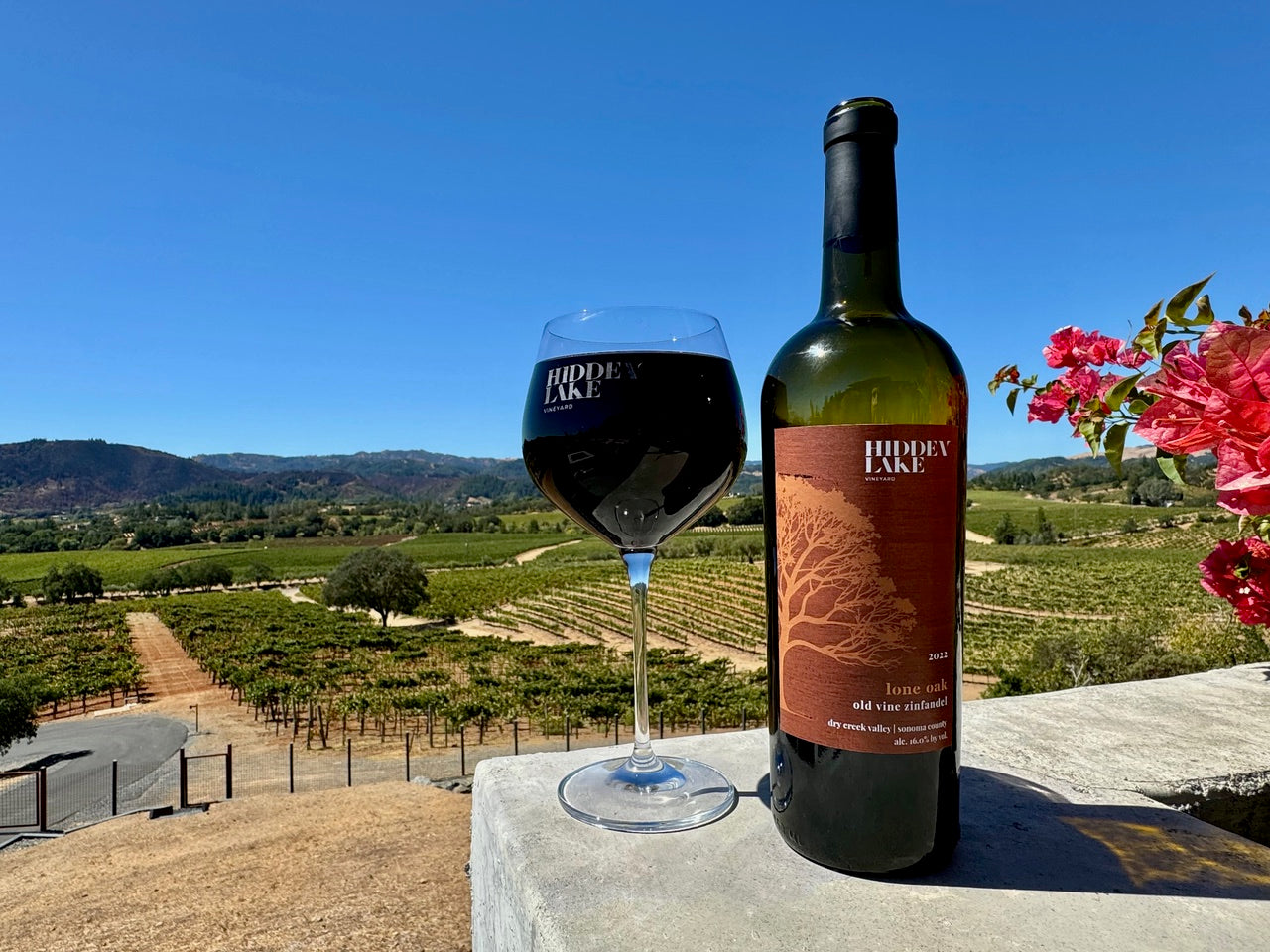 HLV "Lone Oak" Old Vine Zinfandel - 2022